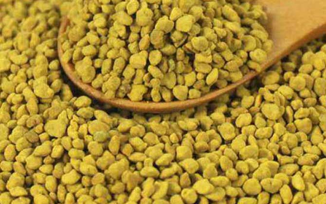 蜂花粉有哪些副作用與禁忌? 蜂花粉