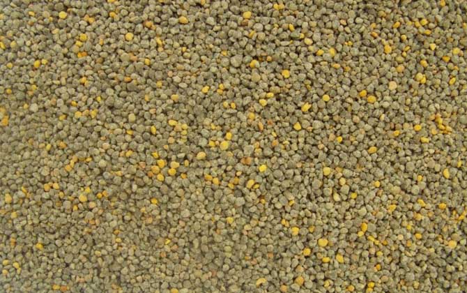 百花粉的功效與作用及食用方法 百花粉