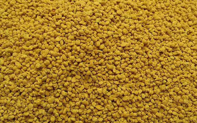 蜂花粉什么時候吃最好? 蜂花粉