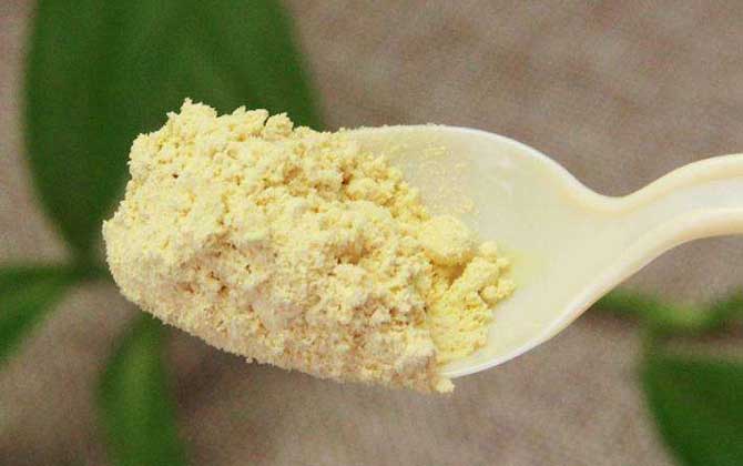 松花粉價格表及選購技巧 松花粉