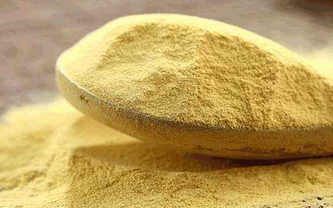 松花粉能治黃褐斑嗎? 松花粉