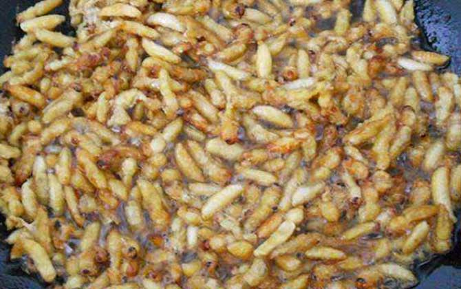 雄蜂蛹怎么吃最簡單? 椒鹽蜂蛹