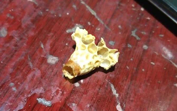 急造王臺(tái)一般幾天封蓋? 急造王臺(tái)