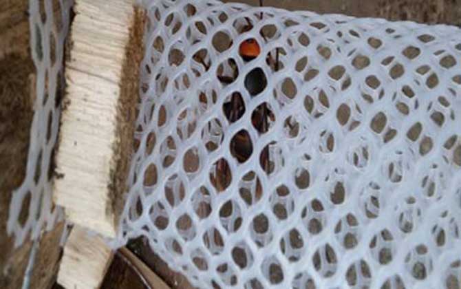 胡蜂(馬蜂)養(yǎng)殖技術(shù)及注意事項(xiàng) 胡蜂養(yǎng)殖