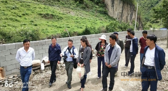 扶貧路上與蜂為伴—中國養蜂學會審查舟曲縣創建“全國中華蜜蜂之鄉”工作 扶貧路上與蜂為伴—中國養蜂學會審查舟曲縣創建“全國中華蜜蜂之鄉”工作