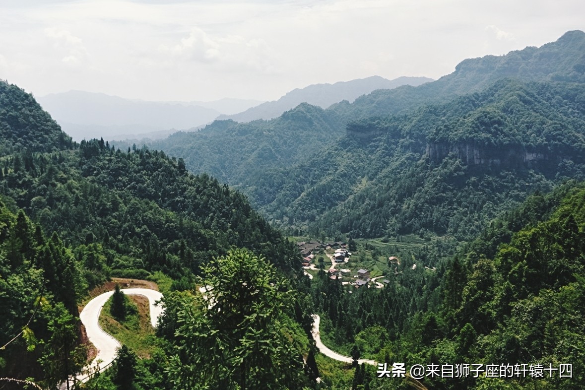 探尋養蜂人，取蜂蜜要用煙熏