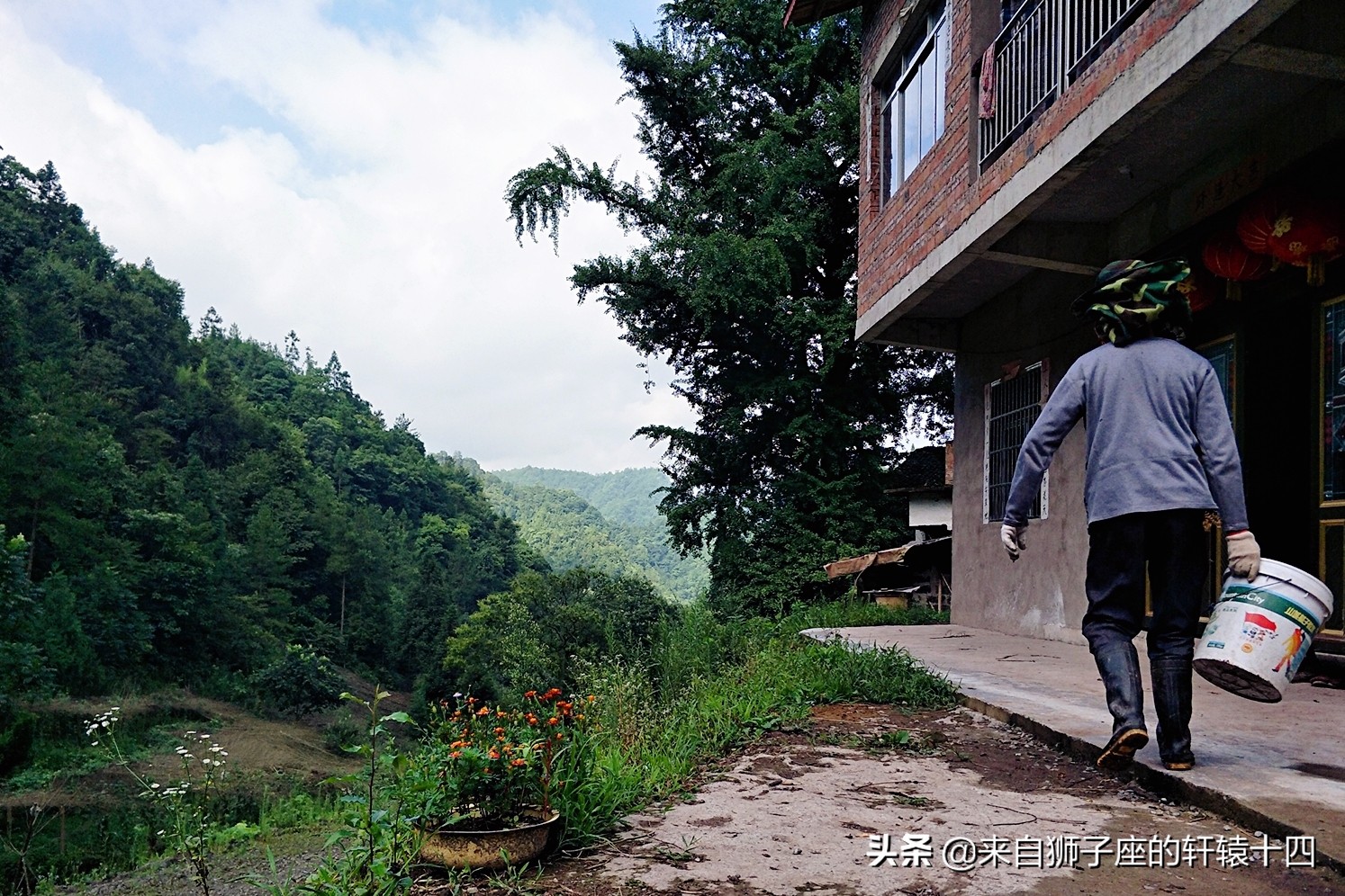 探尋養蜂人，取蜂蜜要用煙熏