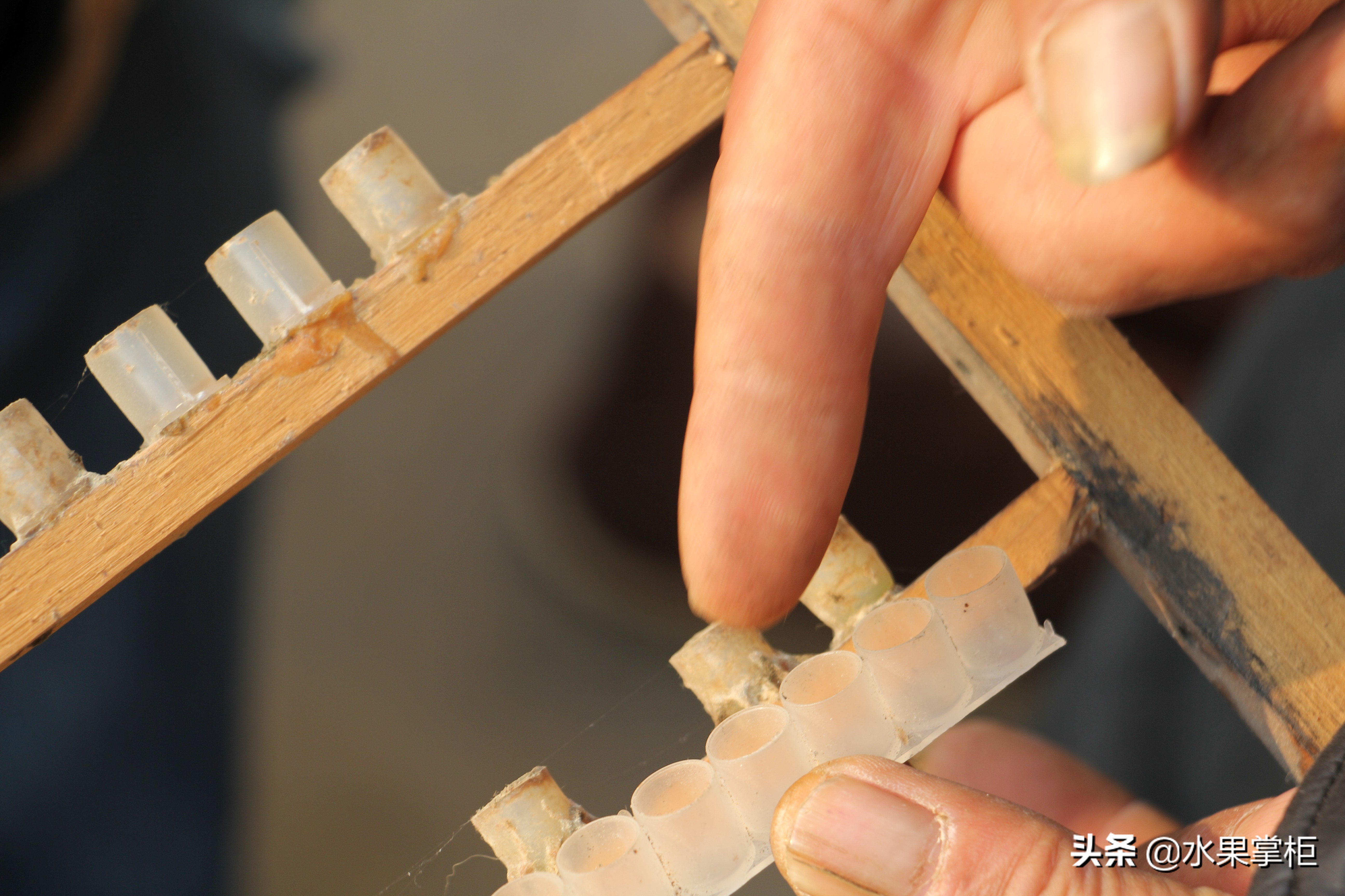 漲知識：農(nóng)家養(yǎng)土蜂蜜的工具，你認識幾個？留言回復(fù)，連載哦