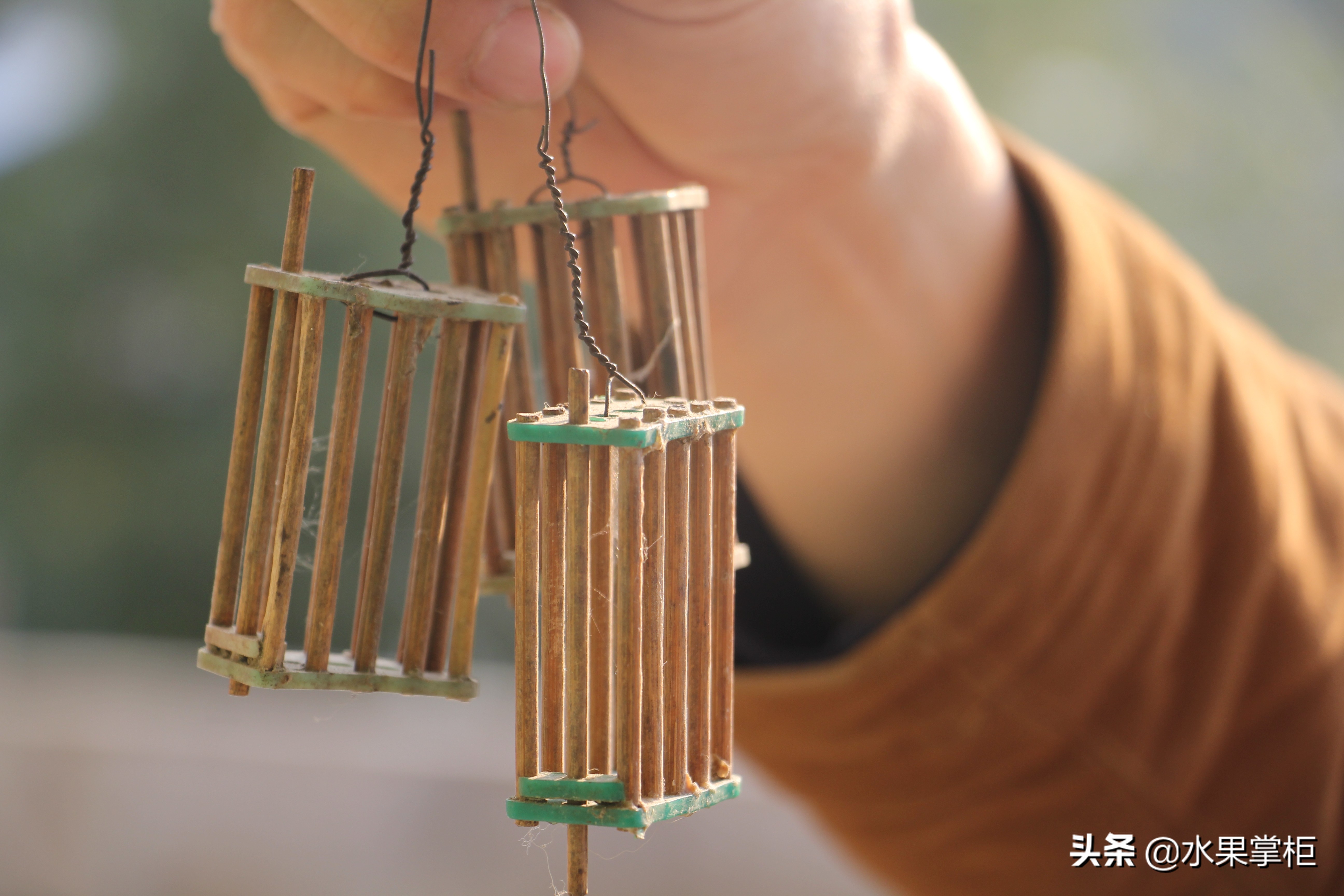 漲知識：農(nóng)家養(yǎng)土蜂蜜的工具，你認識幾個？留言回復(fù)，連載哦