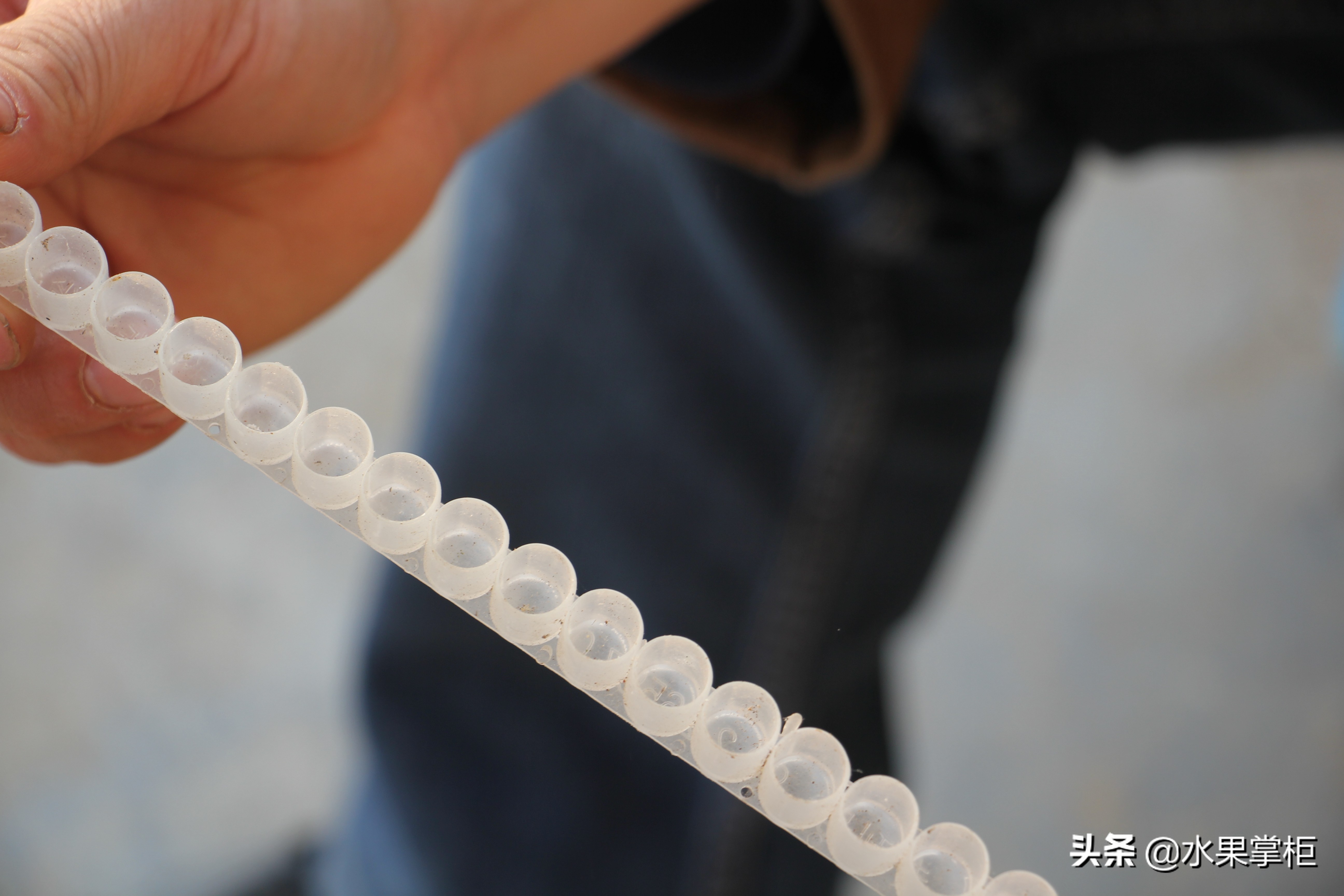 漲知識：農(nóng)家養(yǎng)土蜂蜜的工具，你認識幾個？留言回復(fù)，連載哦