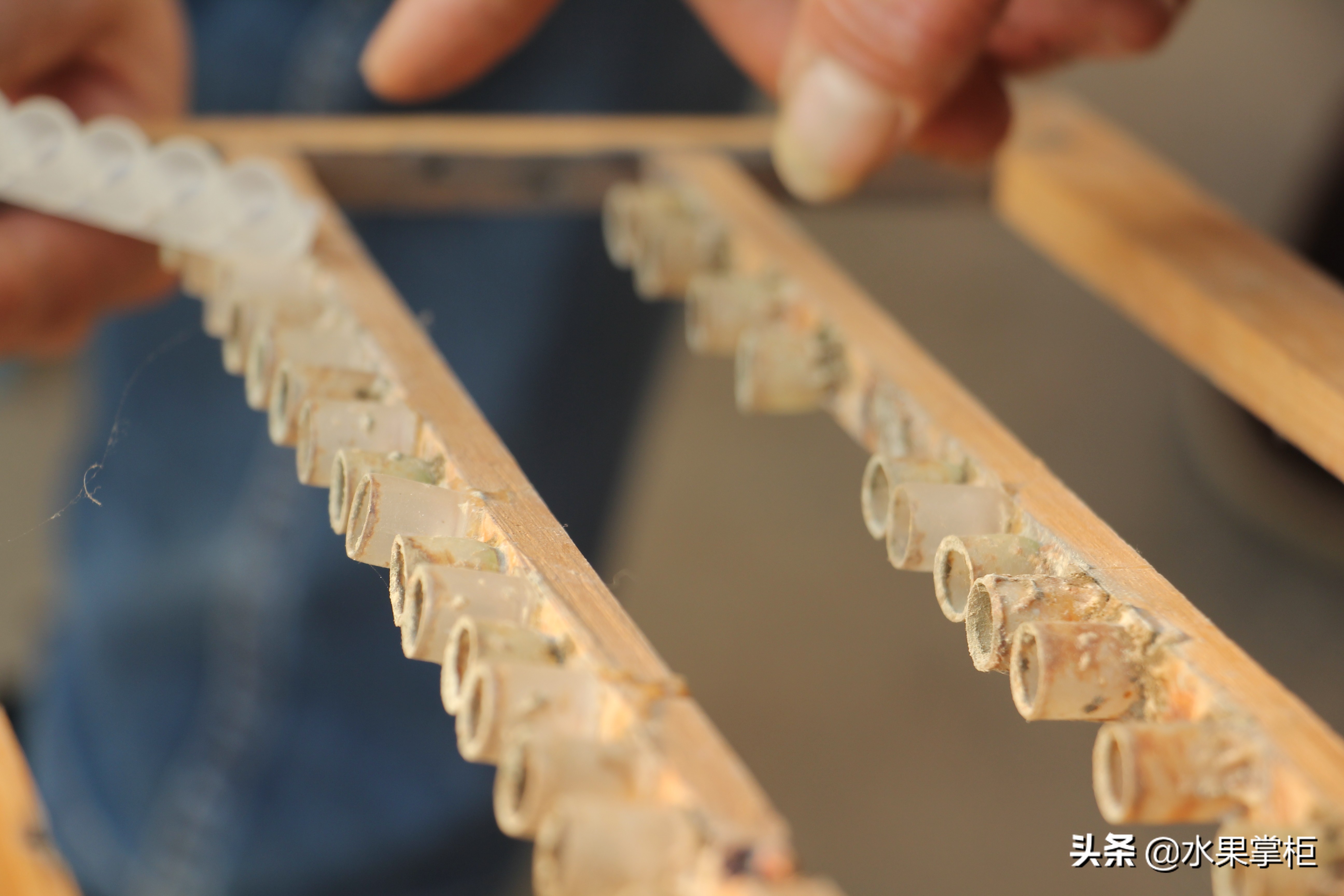 漲知識：農(nóng)家養(yǎng)土蜂蜜的工具，你認識幾個？留言回復(fù)，連載哦