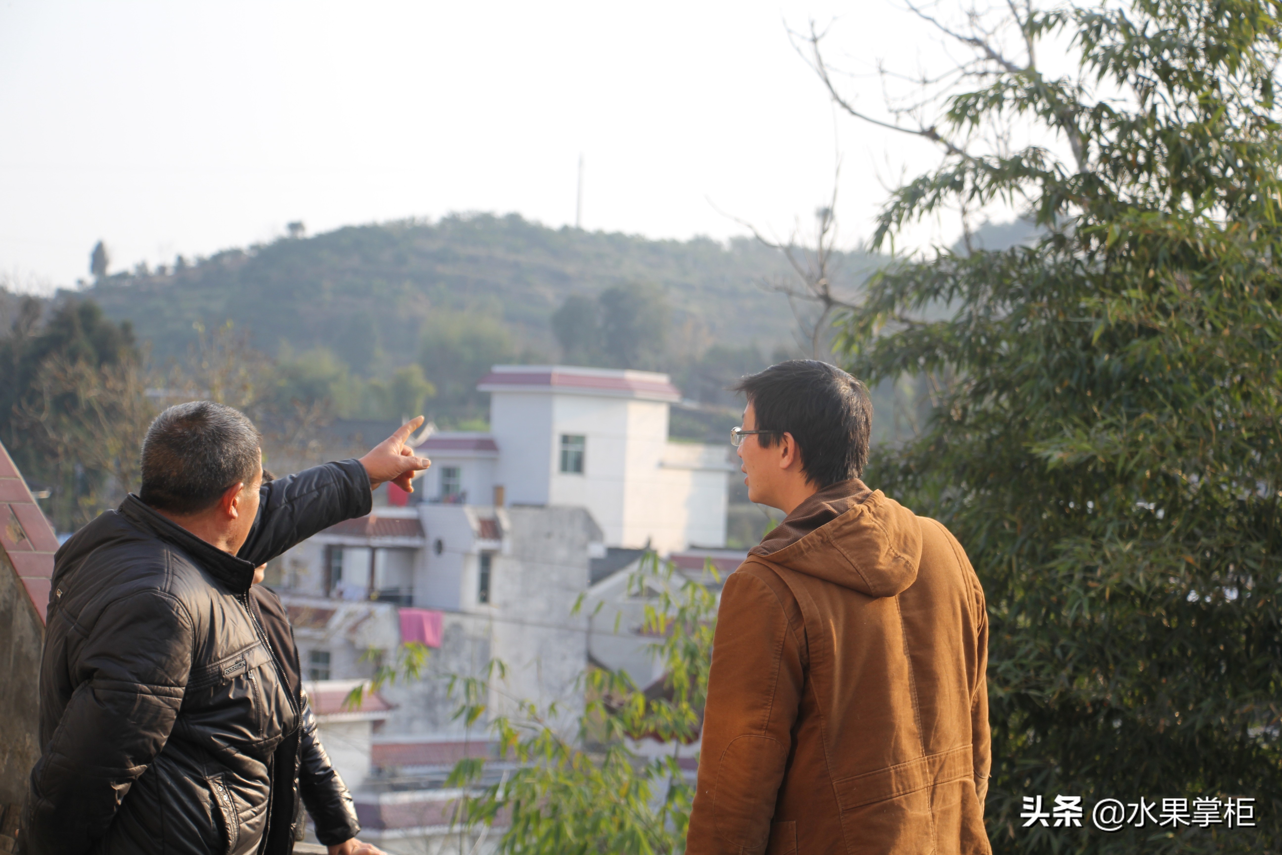 漲知識：農(nóng)家養(yǎng)土蜂蜜的工具，你認識幾個？留言回復(fù)，連載哦