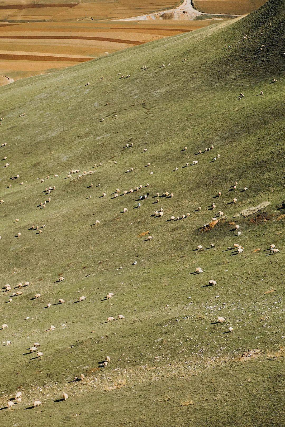 哪一程的旅行滿足了你對(duì)「去遠(yuǎn)方」的美好幻想