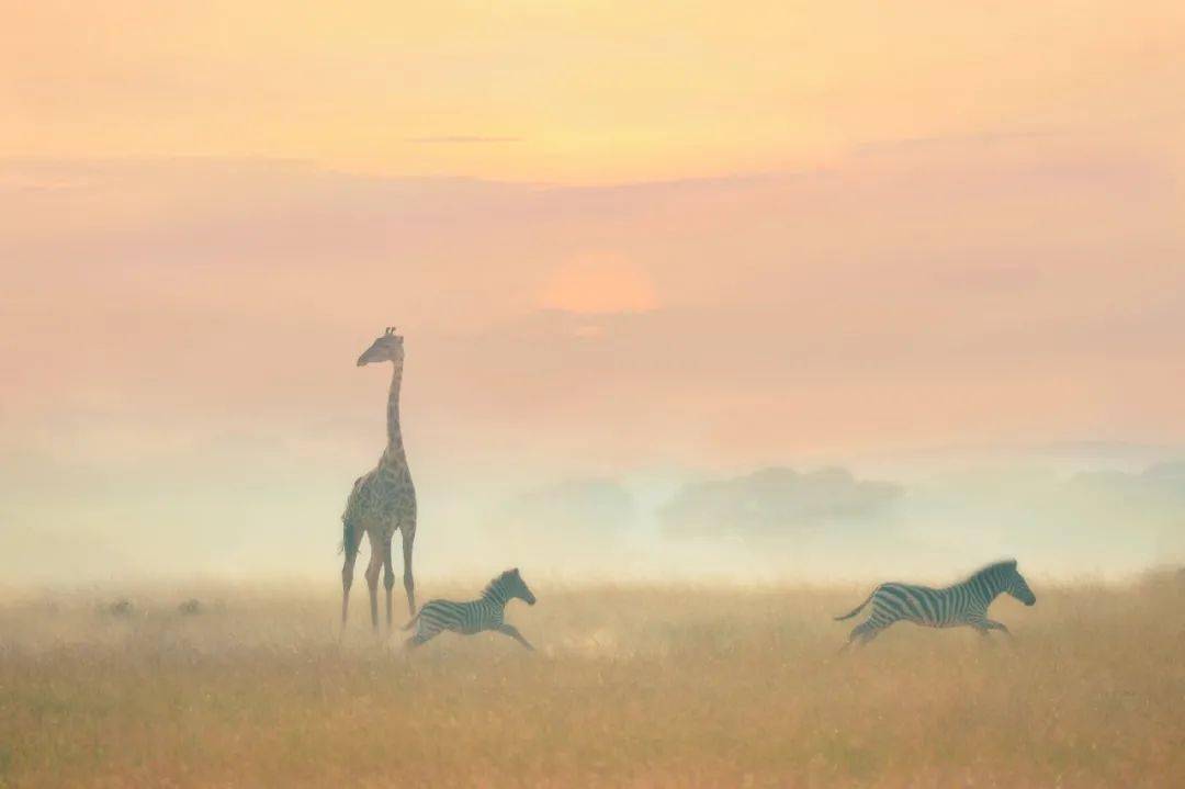 哪一程的旅行滿足了你對(duì)「去遠(yuǎn)方」的美好幻想