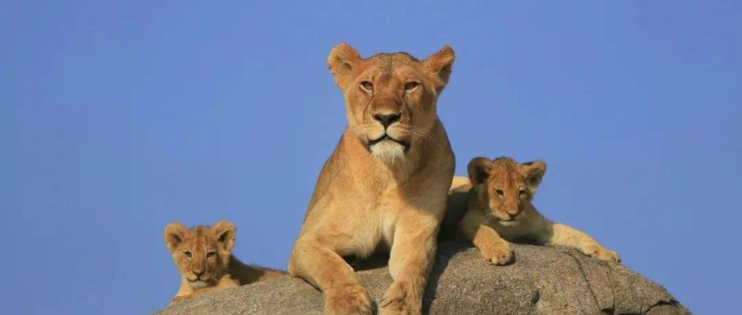 哪一程的旅行滿足了你對(duì)「去遠(yuǎn)方」的美好幻想