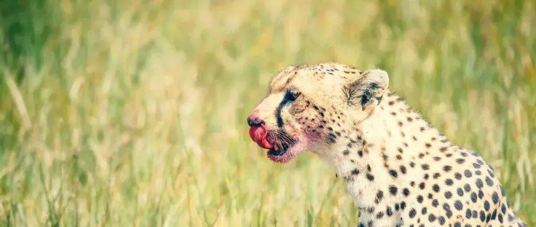 哪一程的旅行滿足了你對(duì)「去遠(yuǎn)方」的美好幻想