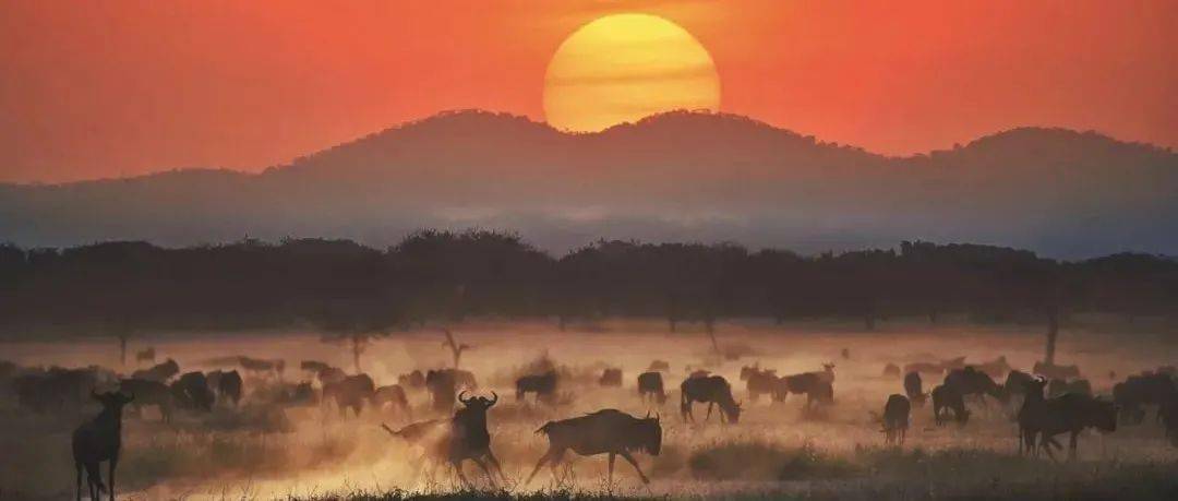 哪一程的旅行滿足了你對(duì)「去遠(yuǎn)方」的美好幻想