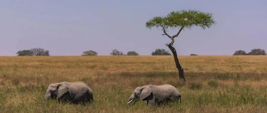 哪一程的旅行滿足了你對(duì)「去遠(yuǎn)方」的美好幻想