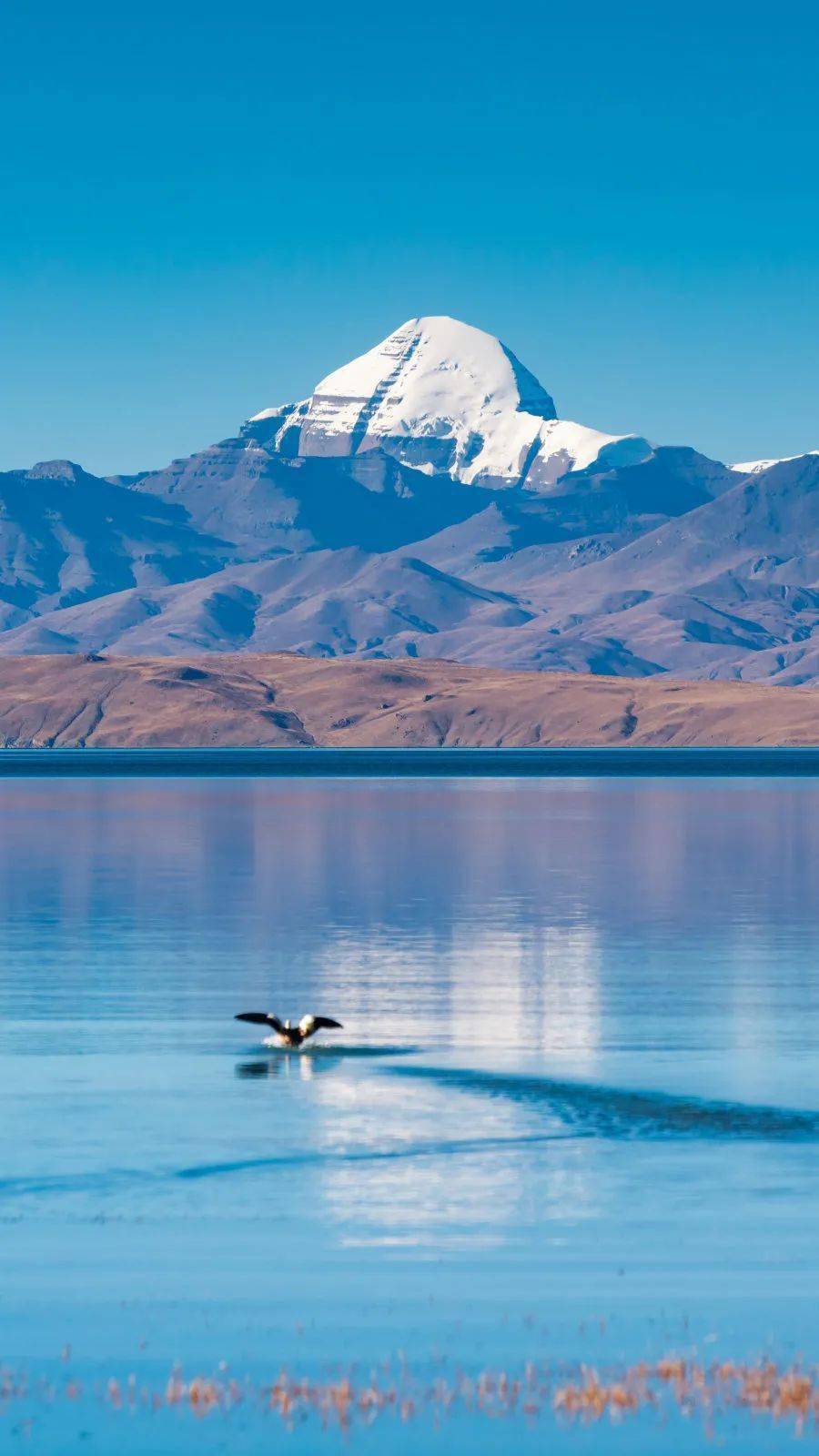 哪一程的旅行滿足了你對(duì)「去遠(yuǎn)方」的美好幻想