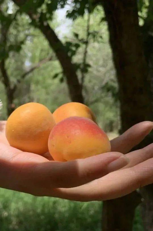 哪一程的旅行滿足了你對(duì)「去遠(yuǎn)方」的美好幻想