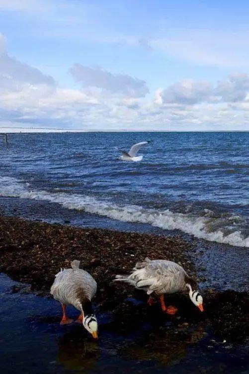 哪一程的旅行滿足了你對(duì)「去遠(yuǎn)方」的美好幻想