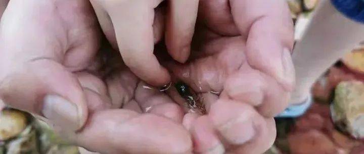 哪一程的旅行滿足了你對(duì)「去遠(yuǎn)方」的美好幻想