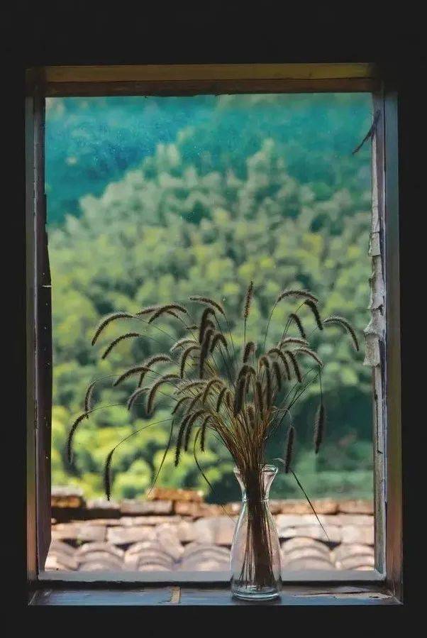 哪一程的旅行滿足了你對(duì)「去遠(yuǎn)方」的美好幻想