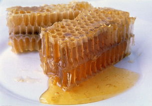 五倍子有花螨嗎（種植前景如何）