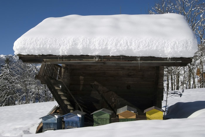 蜂群室內越冬管理技術(養蜂過冬技術) 蜂群室內越冬管理技術(養蜂過冬技術)