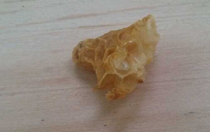 人造王臺蜂王會產(chǎn)卵嗎 人造王臺蜂王會產(chǎn)卵嗎