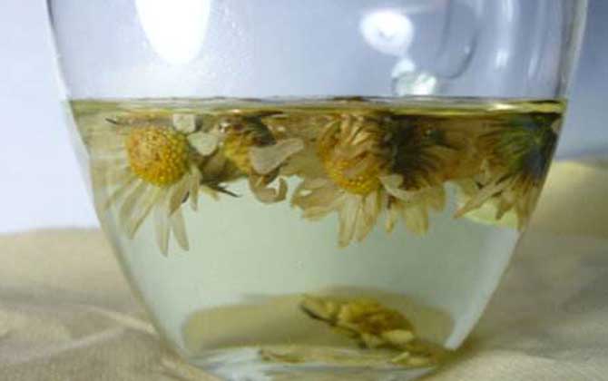 野菊花蜂蜜的功效與作用(菊花茶加蜂蜜泡水喝的作用與禁忌) 野菊花蜂蜜的功效與作用(菊花茶加蜂蜜泡水喝的作用與禁忌)