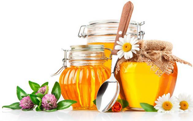 蜂蜜到底是蜜蜂的什么(蜂蜜是蜜蜂用來干嘛的) 蜂蜜到底是蜜蜂的什么(蜂蜜是蜜蜂用來干嘛的)