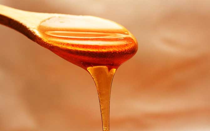 蜂蜜到底是蜜蜂的什么(蜂蜜是蜜蜂用來干嘛的) 蜂蜜到底是蜜蜂的什么(蜂蜜是蜜蜂用來干嘛的)