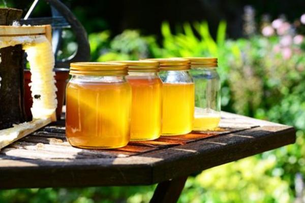 鴨腳木蜂蜜是幾等蜂蜜(鴨腳木蜂蜜的功效與作用) 鴨腳木蜂蜜是幾等蜂蜜(鴨腳木蜂蜜的功效與作用)
