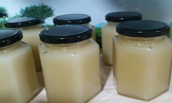 鴨腳木蜂蜜是幾等蜂蜜(鴨腳木蜂蜜的功效與作用) 鴨腳木蜂蜜是幾等蜂蜜(鴨腳木蜂蜜的功效與作用)