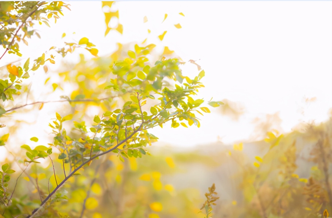 越是無人懂你，越要愛自己（沒有人會永遠(yuǎn)愛你，除了你自己）