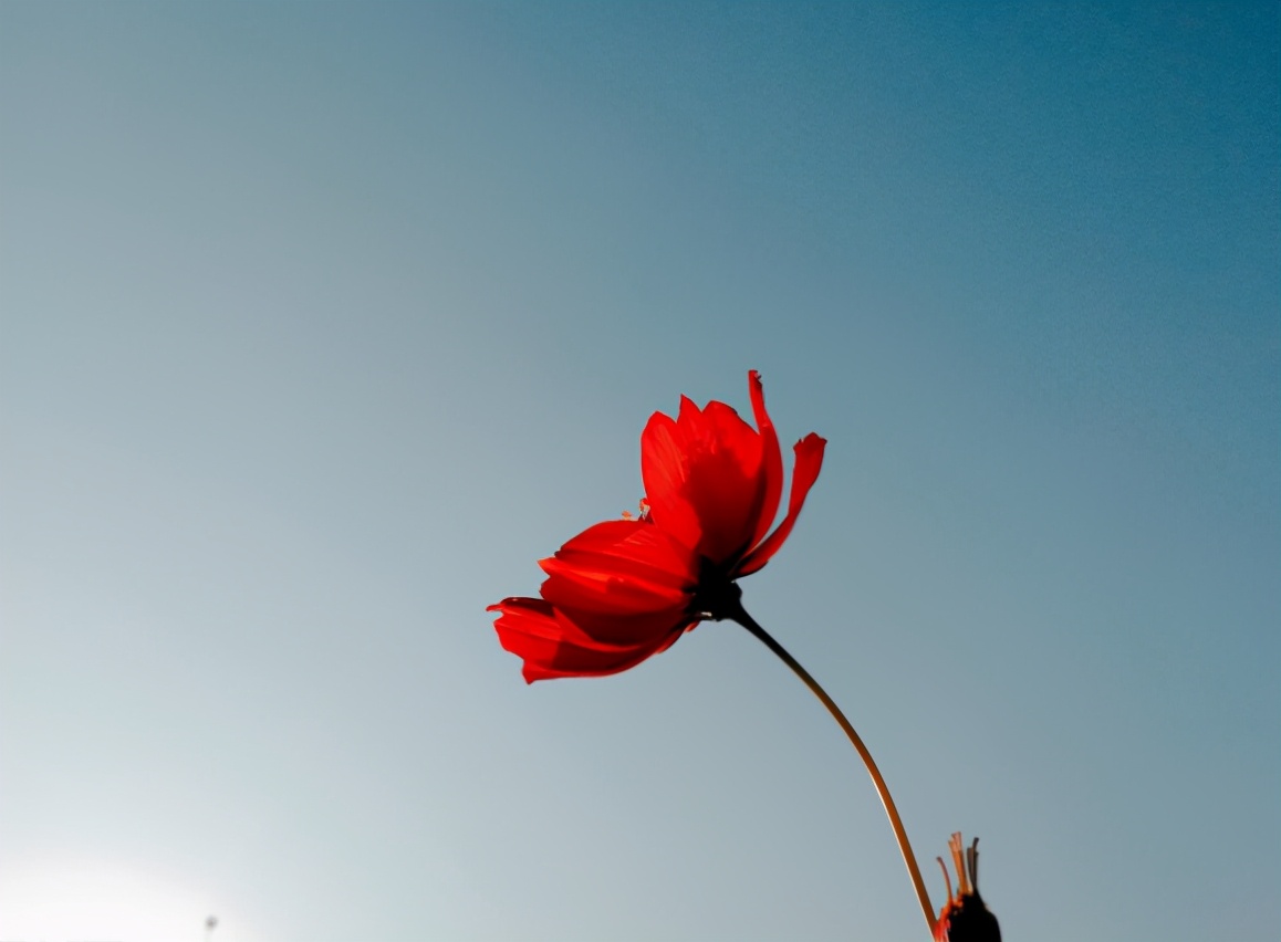 越是無人懂你，越要愛自己（沒有人會永遠(yuǎn)愛你，除了你自己）