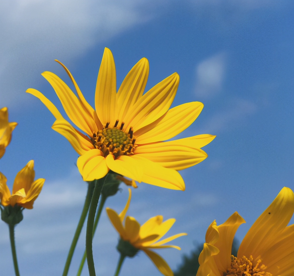 越是無人懂你，越要愛自己（沒有人會永遠(yuǎn)愛你，除了你自己）