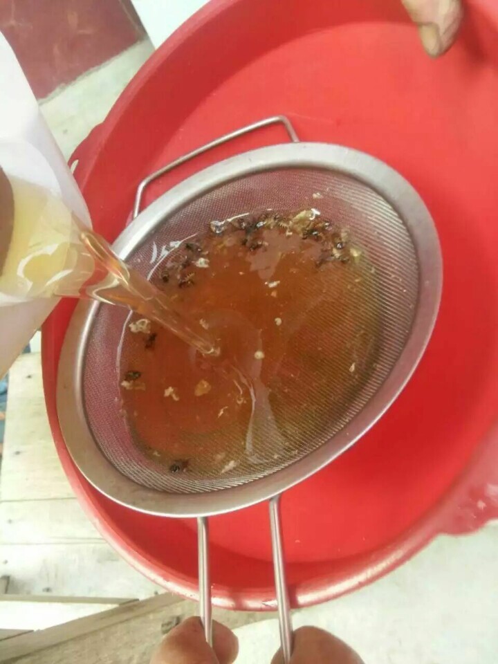 工蜂產卵介入新王有用嗎(工蜂產卵群能介入蜂王嗎) 工蜂產卵介入新王有用嗎(工蜂產卵群能介入蜂王嗎)