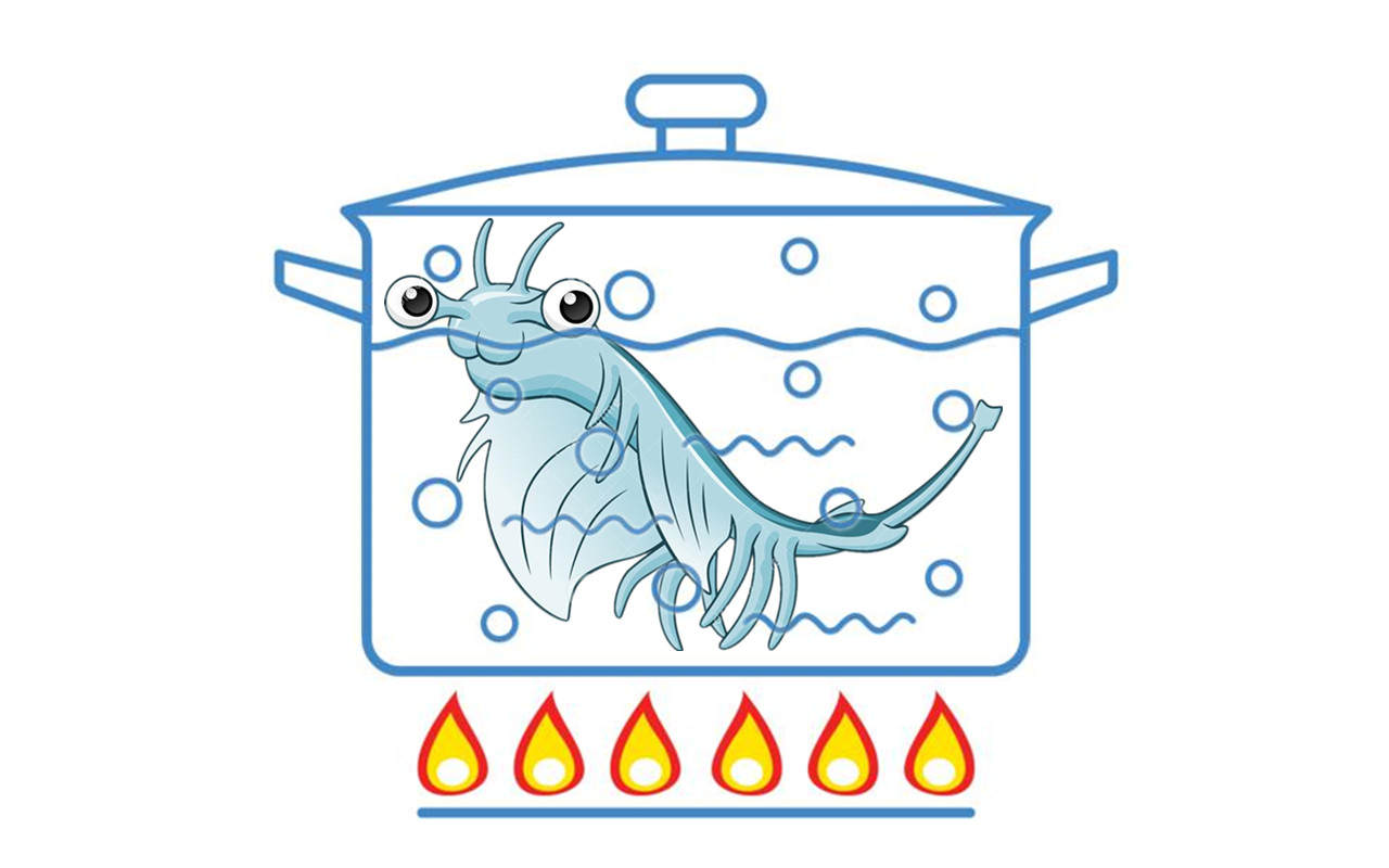 “活化石”仙女蝦為什么能活2億年,真放在開水里煮都不死 “活化石”仙女蝦活了2億年,上月球、下鍋煮都不死?