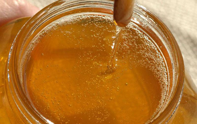 荔枝蜜花期多少天(荔枝蜜的產(chǎn)地分布) 荔枝蜜花期多少天(荔枝蜜的產(chǎn)地分布)