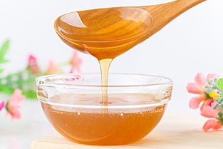 天山雪蜜是什么植物的花蜜(天山雪蜜的蜜源植物) 天山雪蜜是什么植物的花蜜(天山雪蜜的蜜源植物)