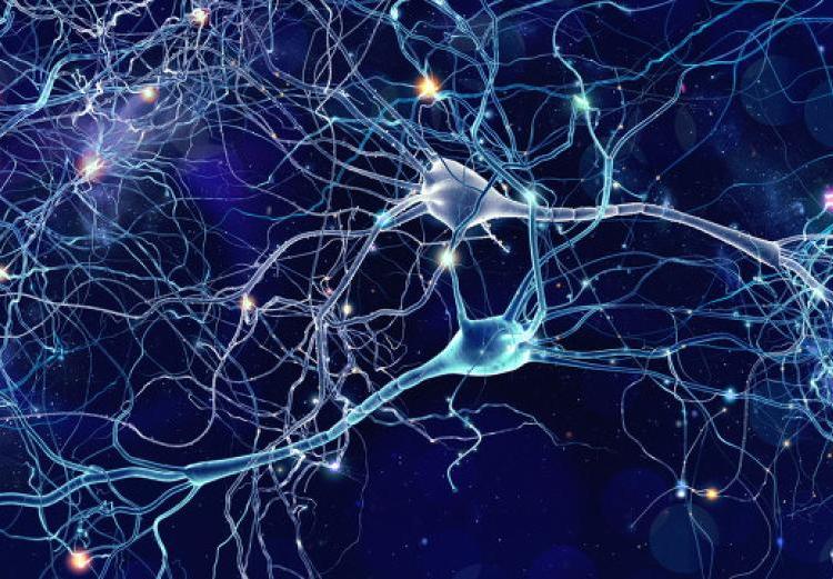 由10萬個(gè)銀河系組成!拉尼亞凱亞超星系團(tuán),是宇宙最大結(jié)構(gòu) 直徑5.2億光年,囊括10萬星系,拉尼亞凱亞超星系團(tuán)有多可怕?