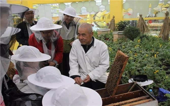 蜜蜂養(yǎng)殖技術(shù) 蜜蜂養(yǎng)殖技術(shù)