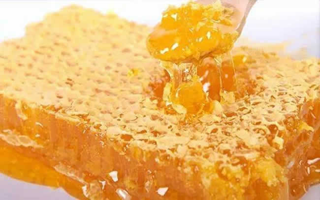 蜂巢脾是什么 蜂巢脾是什么