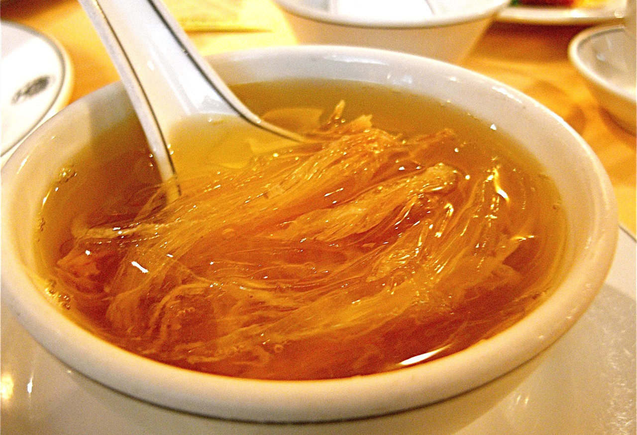 全球每年銷售魚翅140萬噸，殺死1億條鯊魚，為何不能人工飼養？