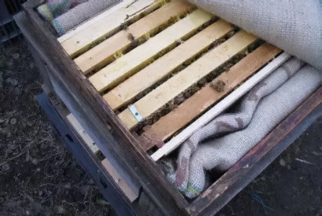 意蜂春繁怎樣快速繁蜂(意蜂繁殖快的秘密和技術養殖方法) 意蜂春繁怎樣快速繁蜂(意蜂繁殖快的秘密和技術養殖方法)