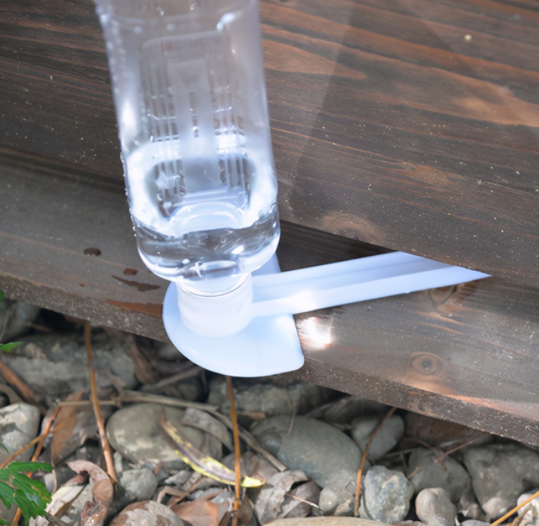 意蜂春繁怎樣快速繁蜂(意蜂繁殖快的秘密和技術養殖方法) 意蜂春繁怎樣快速繁蜂(意蜂繁殖快的秘密和技術養殖方法)