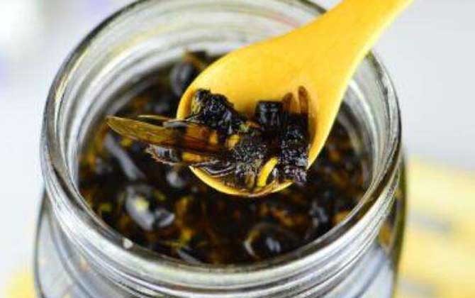 中國大虎頭蜂可以泡酒喝嗎(虎頭蜂酒的功效) 中國大虎頭蜂可以泡酒喝嗎(虎頭蜂酒的功效)