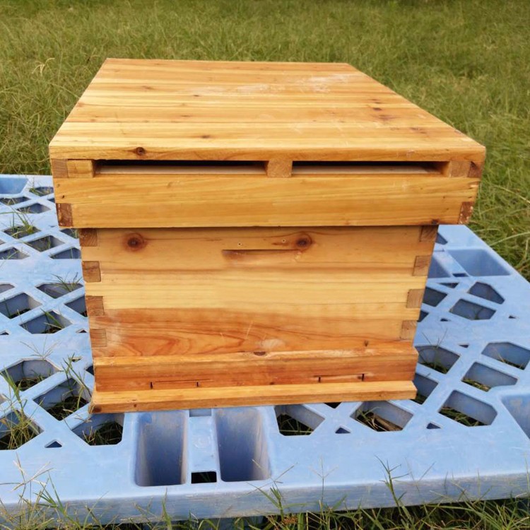 新手養(yǎng)蜂怎樣把蜂引進蜂箱(怎樣把蜜蜂引到蜂箱里) 新手養(yǎng)蜂怎樣把蜂引進蜂箱(怎樣把蜜蜂引到蜂箱里)